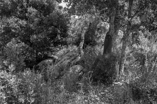 #581 Calangianus
