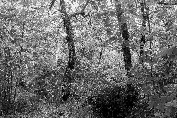 #558 42.882150, 12.127966