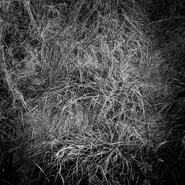 #165 Hesbaye, Belgium, 2012