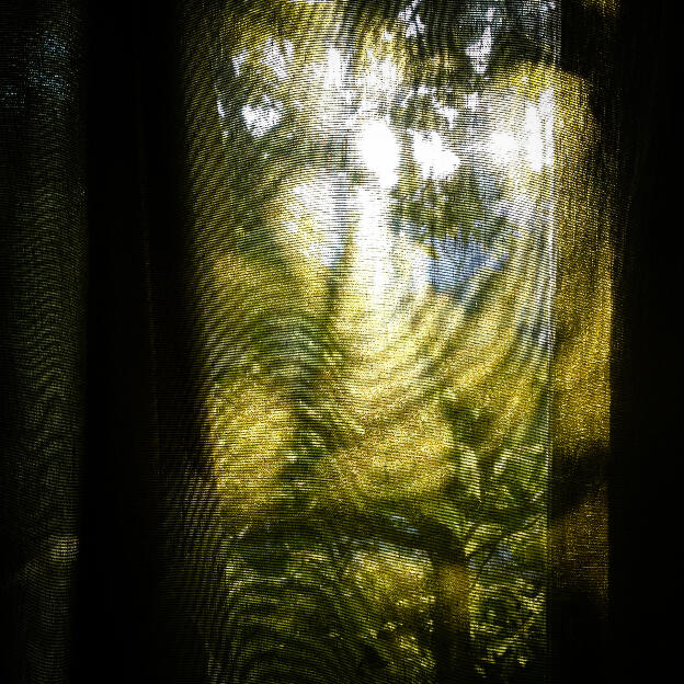 #58 | 8:29 pm